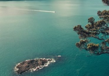 Coromandel-Halbinsel-Neuseeland 
